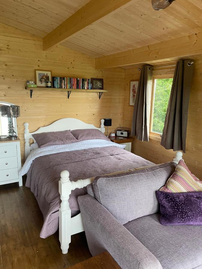 Cosy Cabin In Annie'S Meadow West Meon Екстериор снимка